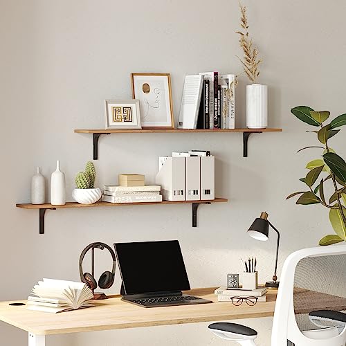 Long Wall Shelves (2 Count)