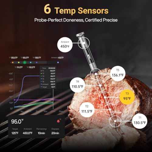 Sync One Gen 2 Smart Wireless Meat Thermometer with 6