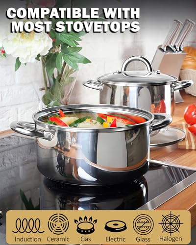 Basics 5.5 Quart Stainless Steel Stock Pot with Lid