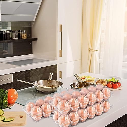 60 Pack Plastic Egg Cartons Cheap Bulk (60 Count)