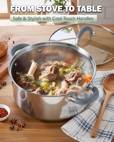Basics 12 Quart Stainless Steel Stock Pot with Lid