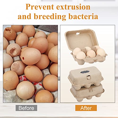 Paper Egg Cartons for Chicken Eggs
