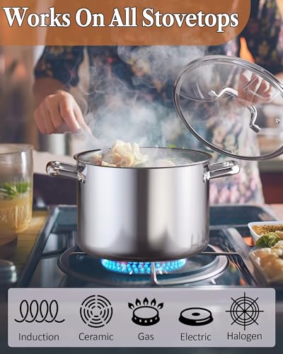 7 Quart Tri Ply Clad Stainless Steel Stockpot with Glass Lid