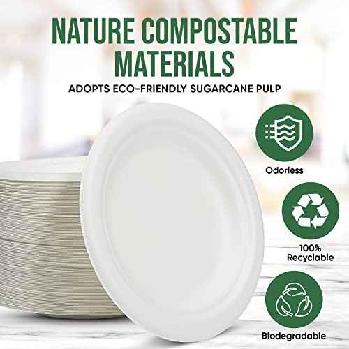Small Disposable Paper Plate 6 inch (100 Count)