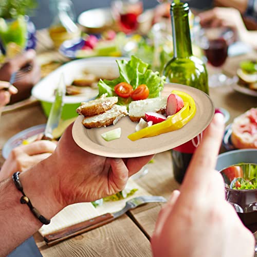 Paper Plates 6 inch (100 Count)