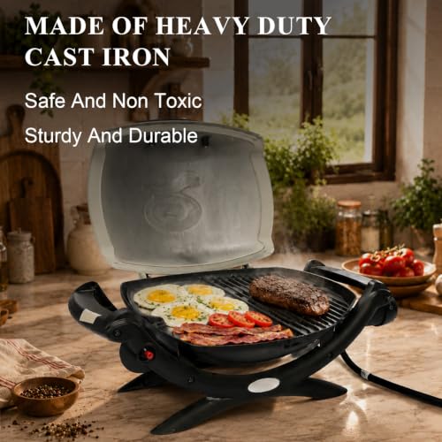 Cast Iron Griddle for Weber Q100