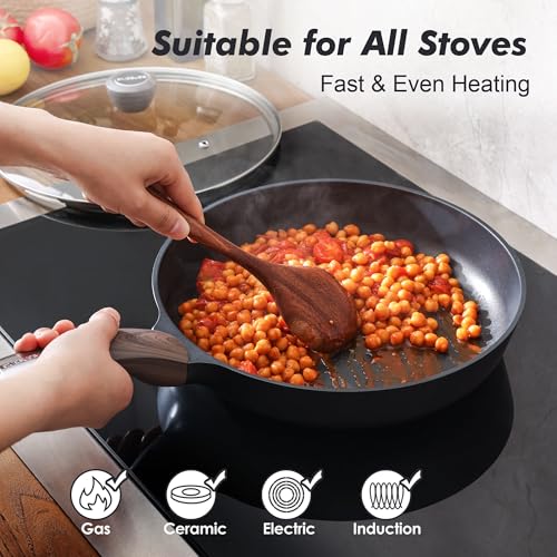 11inch Nonstick Frying Pan Paella Pan with Lid