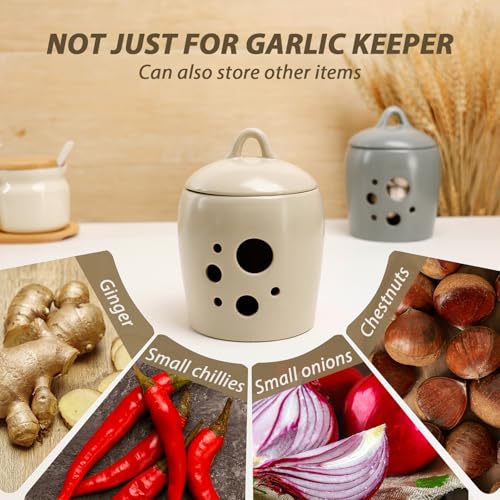 Garlic Keeper for Counter