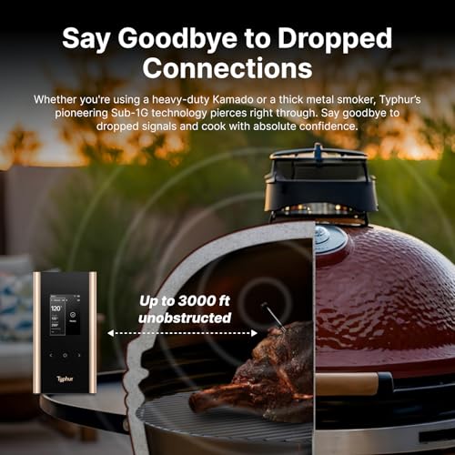 Sync Gold Wireless WiFi Meat Thermometer (2 Count)