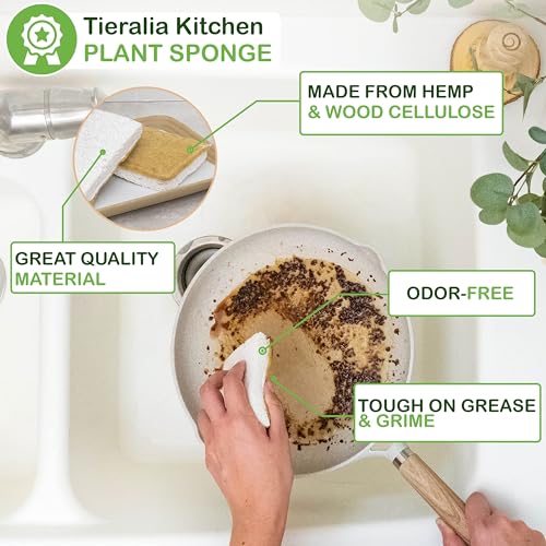Bamboo Dish Brush Gift Set