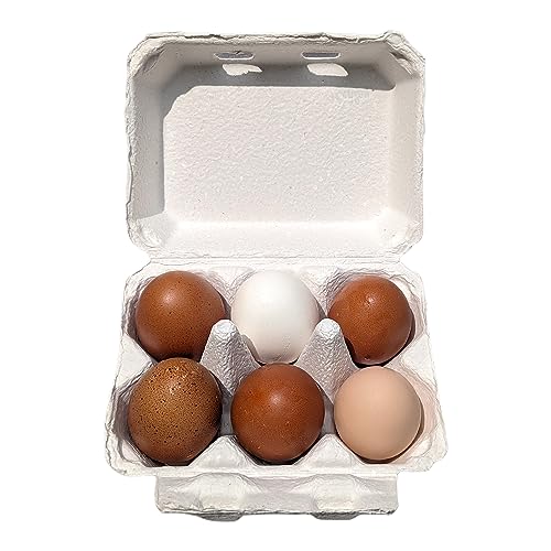 White Half Dozen Blank Egg Cartons (20 Count)