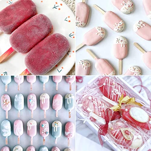 2 Pack Popsicles Molds