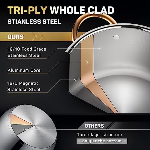 8 Quart Stock Pot