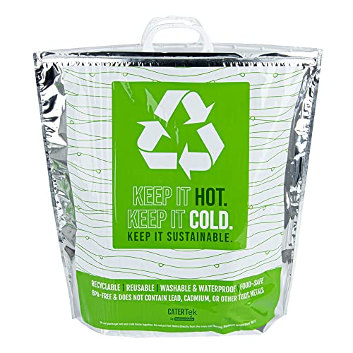 Green And Silver Plastic Thermal Bag (10 Count)