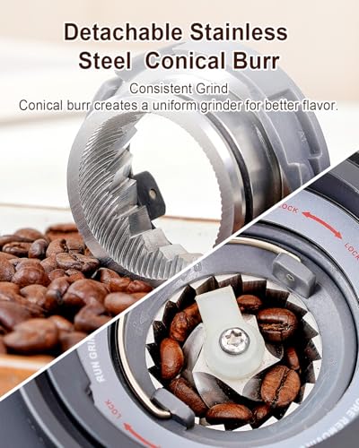 Electric Conical Burr Coffee Grinder with Removable Coffee Scale