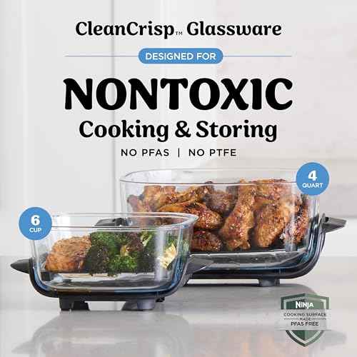 Crispi Glass Air Fryer