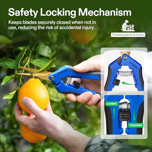 6.5 Inch Garden Scissors (6 Count)
