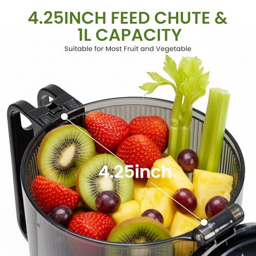Cold Press Juicer