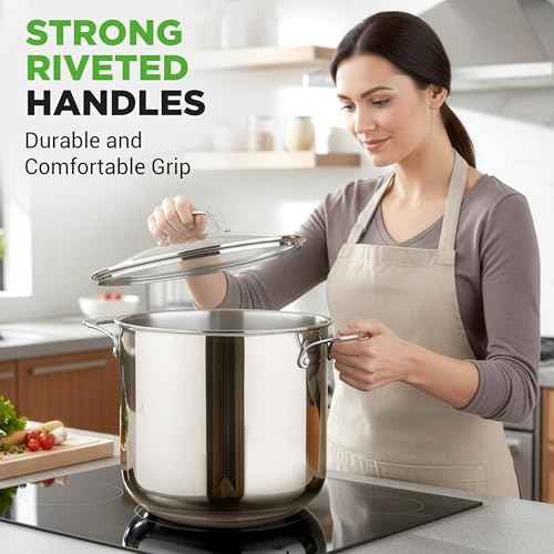 19 Qt Stock Pot with Lid