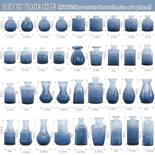 Set of 36 Glass Bud Vases Small Flower Vases for Centerpieces (36 Count)