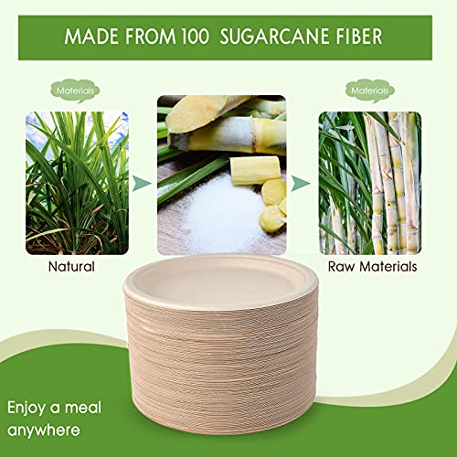 150 Pack Compostable Disposable Paper Plates 10 inch Super Strong 100% Bagasse Natural Biodegradable Eco (150 Count)
