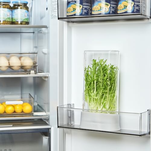 Herb Keeper for Refrigerator (2 Count)