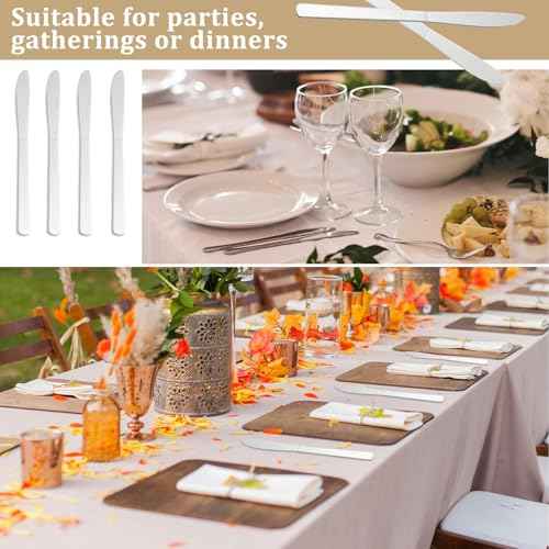72 PCS Dinner Knifes Set (72 Count)