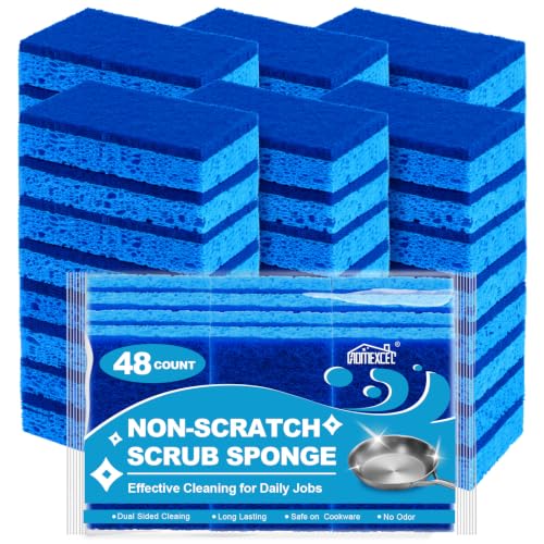 Sponges Kitchen 48 Pack (48 Count)