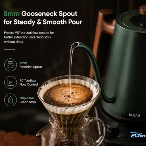 Gooseneck Electric Kettle with Temperature Control