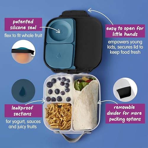 Mini Lunch Box