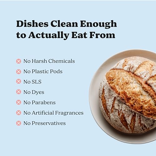 Dishwasher Detergent (13.67 Ounce)
