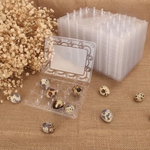 200 Pack Quail Egg Cartons (200 Count)
