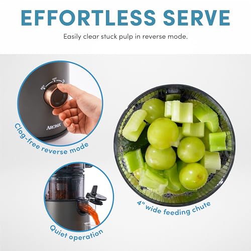 Cold Press Juice Machine Slow Masticating Fruit and Vegetable Juicer for Home with Large 4