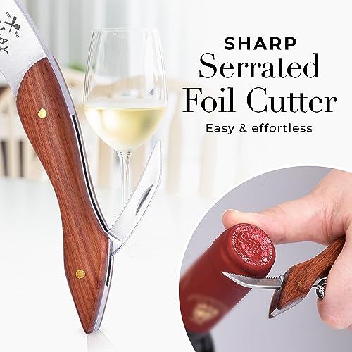 Corkscrew Wine Opener