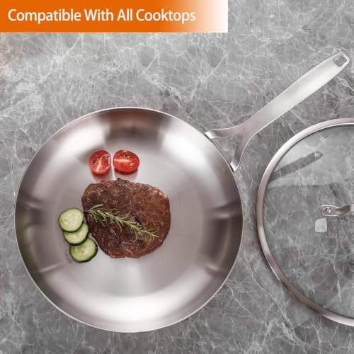 Tri Ply Stainless Steel Frying Pan 8.3" With Lid kitchen skillet