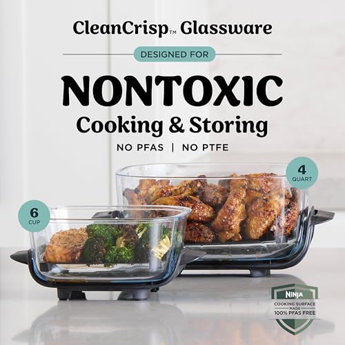 Crispi Glass Air Fryer