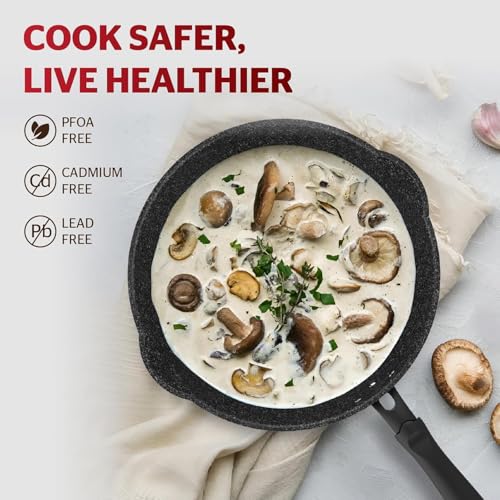 11 Inch Non Stick Deep Frying Pan with Double Pour Spouts