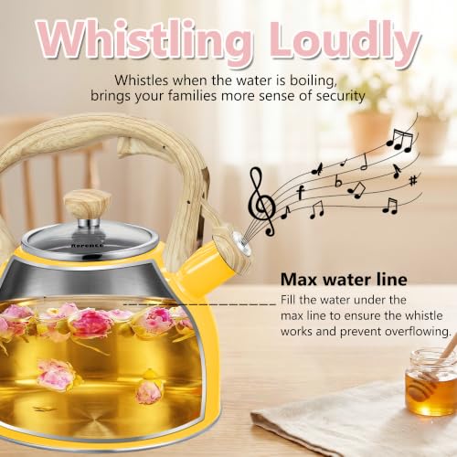 Whistling Tea Kettle for Stove Top