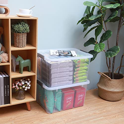 44.4 QT Plastic Storage Bins with Latching Lids Stackable Storage Containers for Organizing Large Clear Storage Box for Garage (4 Count)