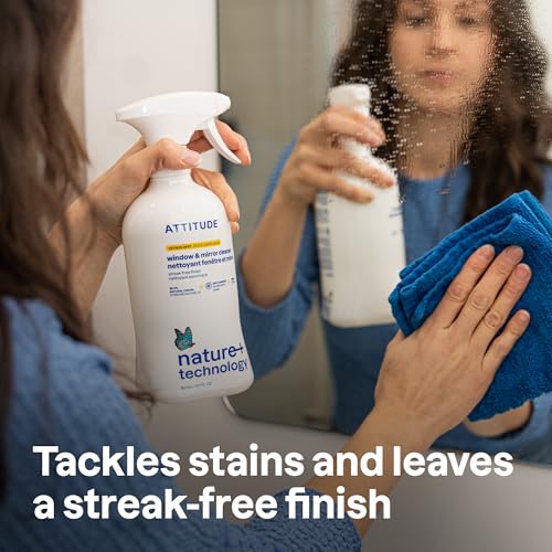 Window and Mirror Cleaner (27.1 Fl Oz)