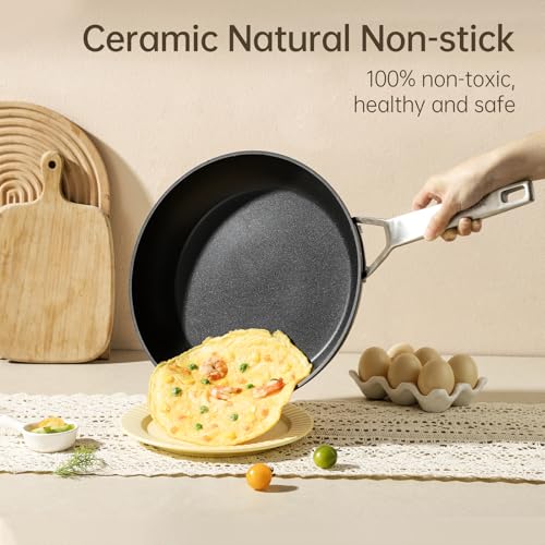 11 Inch Nonstick Frying pan