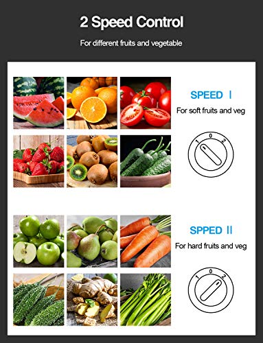 Juicer Machine 500W Centrifugal Juicer with Extra Wide Feed Chute