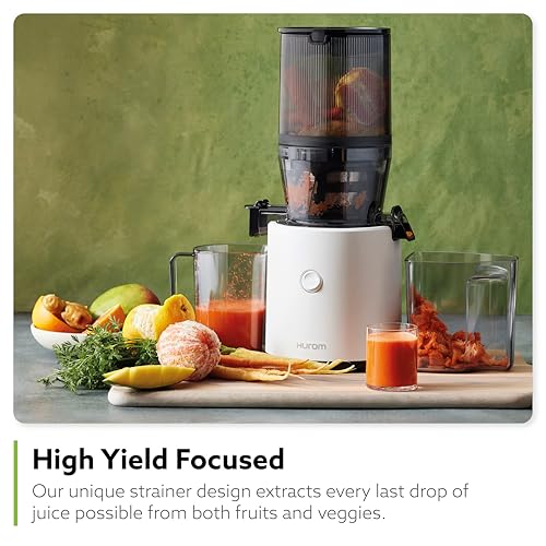 H320N Cold Press Juicer Machine