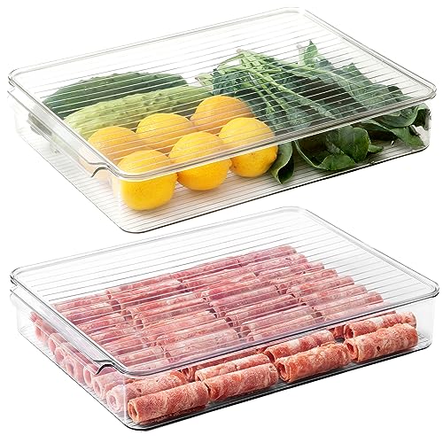 2 Pack Deli Meat Container for Fridge (2 Count)