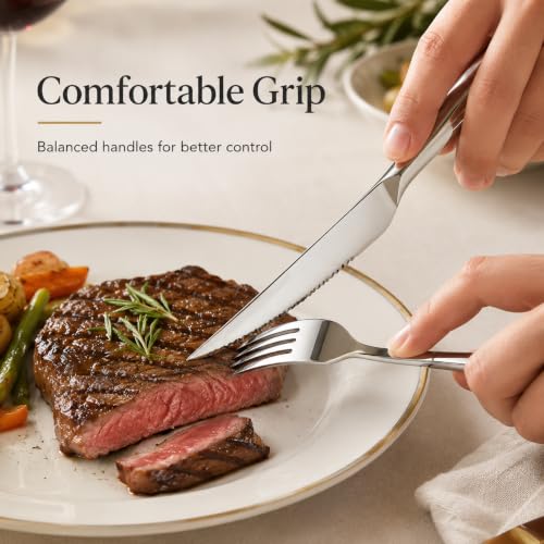 20 Piece Steak Knife and Fork Set for 10
