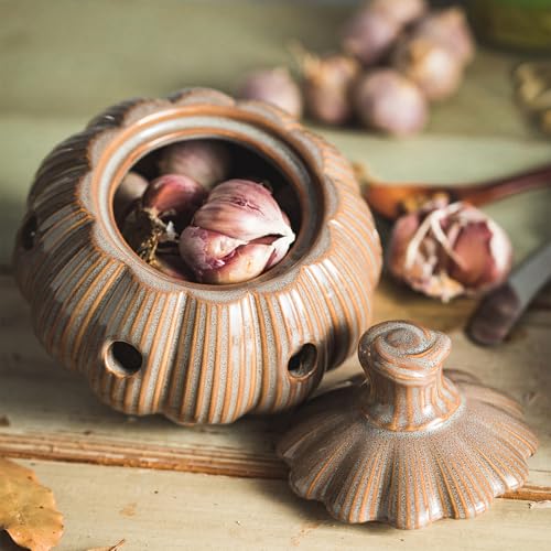 Large Garlic Keeper Storage for Counter