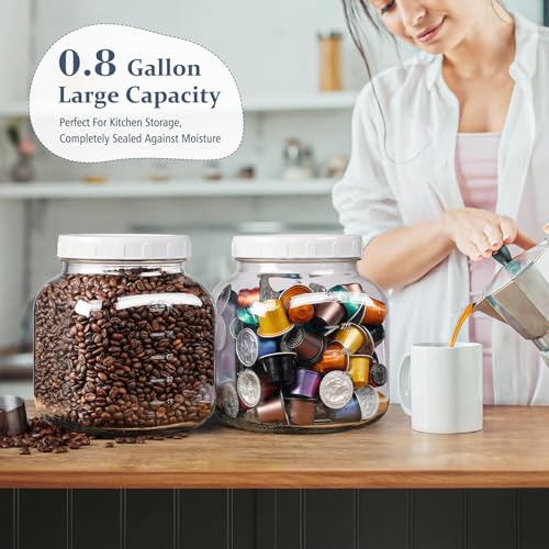 0.8Gal Glass Jar with Lid (2 Count)