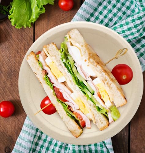 100% Compostable Disposable Paper Plates Heavy Duty Waterproof Plates (50 Count)