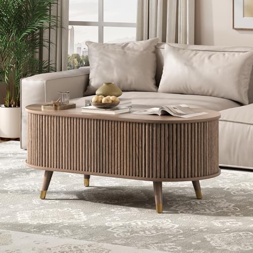 Oval Lift Top Coffee Table with Storage for Living Room