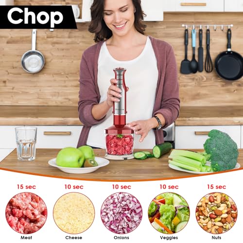 Immersion Blender Handheld